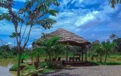 Cameroon Travel Guide