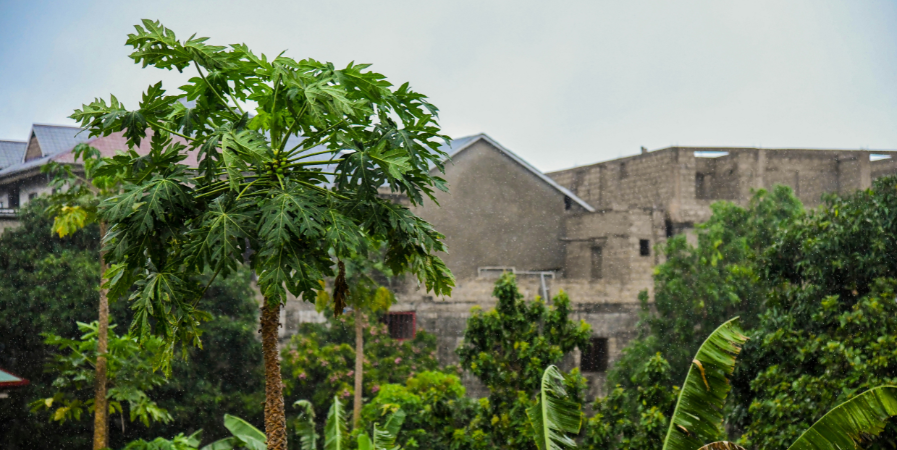 Congo Travel Guide