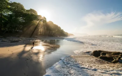 Costa Rica Travel Guide