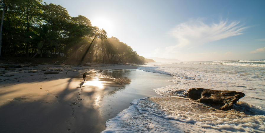 Costa Rica Travel Guide