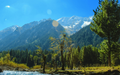 Pakistan Travel Guide