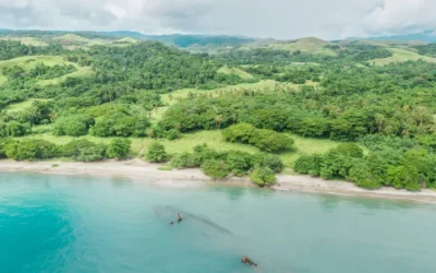 Solomon Islands Travel Guide