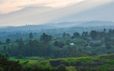Uganda Travel Guide