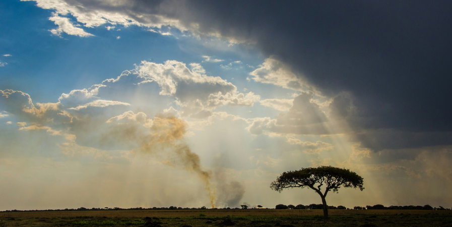 Zambia Travel Guide