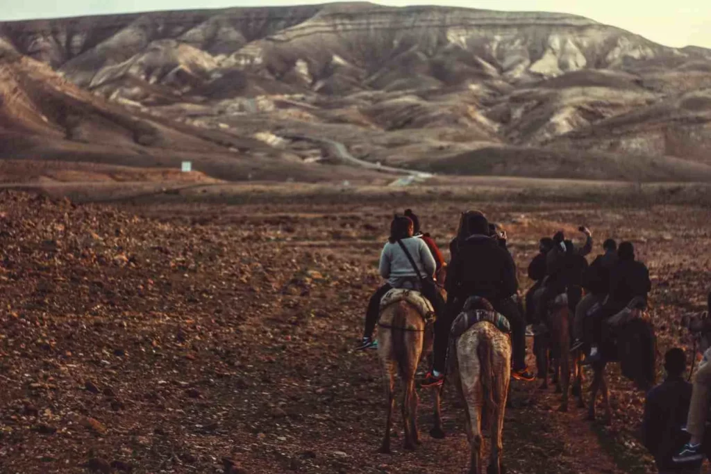 Longest Recorded Horse Journeys in History