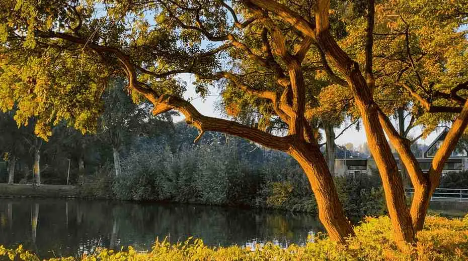 Autumn (September-October) The Insider's Paradise