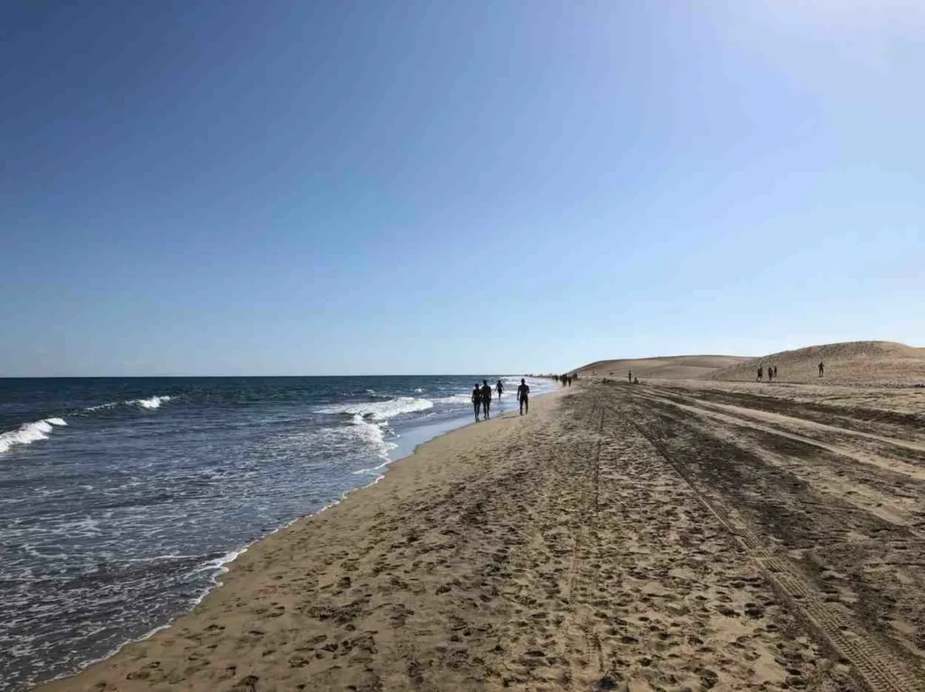 The Real Cable Beach Experience