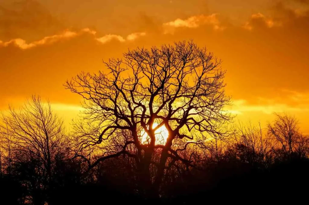 Dry Season Sunshine Guaranteed