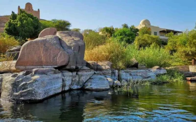 The Best Time To Visit Chad: A Seasonal Guide for Travelers