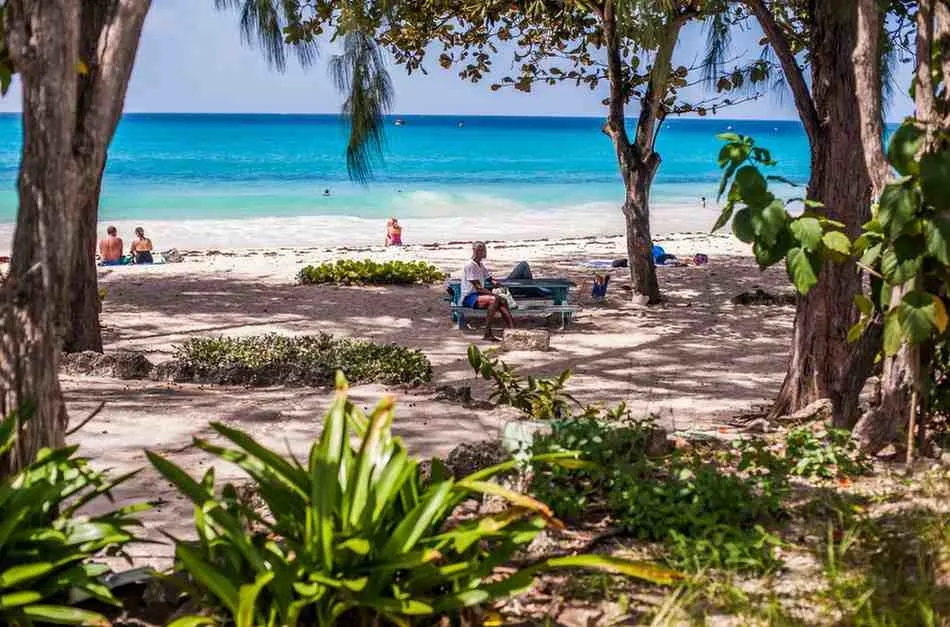 Best Time to Visit Barbados - Complete Season Guide