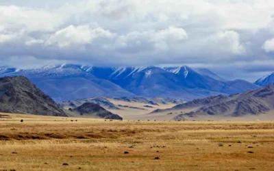 Best Time To Visit Mongolia: A Complete Seasonal Guide