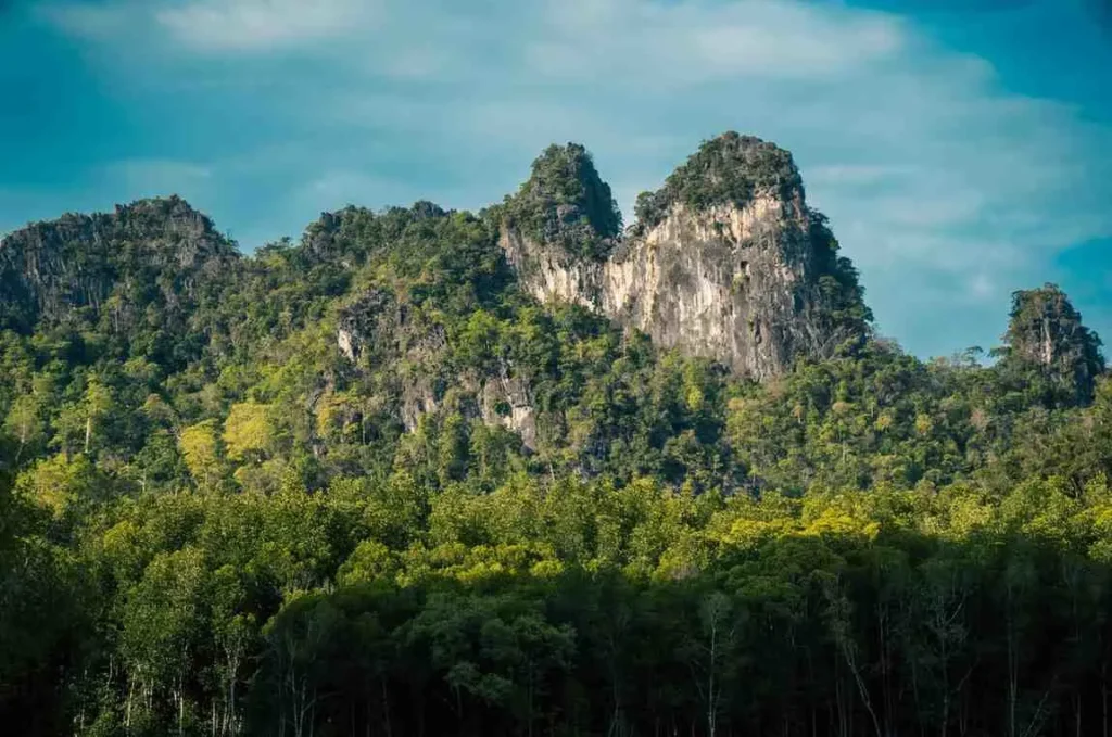 Borneo's Wild Heart Where Adventure Awaits