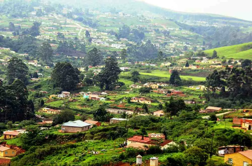 The Best Time to Visit Rwanda A Complete Seasonal Guide
