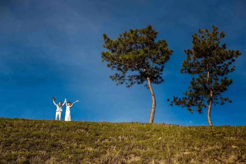 What You Really Need to Know