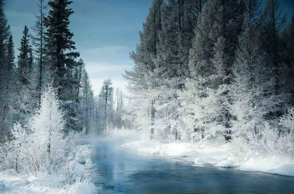 Winter's Frozen Fairy Tale